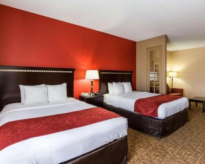 Comfort Suites Pearland - image 2