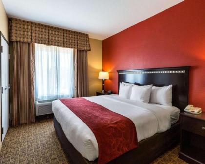 Comfort Suites Pearland - image 9