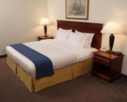 Holiday Inn Express Hotel and Suites Pearsall an IHG Hotel - image 2