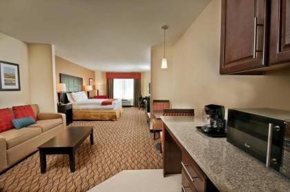 Holiday Inn Express Hotel and Suites Pearsall an IHG Hotel - image 9