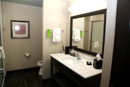 Hampton Inn Pearsall - image 8