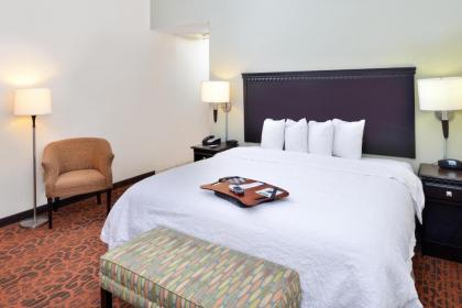 Hampton Inn Pecos - image 9