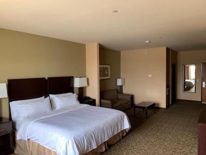 Holiday Inn Express & Suites Pecos an IHG Hotel - image 11