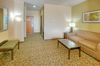 Holiday Inn Express & Suites Pecos an IHG Hotel - image 13