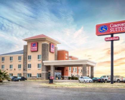 Comfort Suites Pecos - image 11