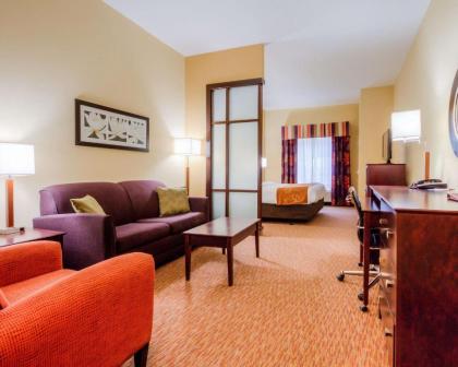 Comfort Suites Pecos - image 12