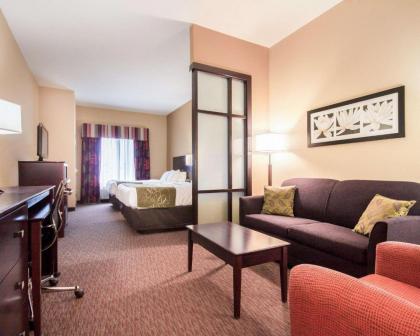 Comfort Suites Pecos - image 13