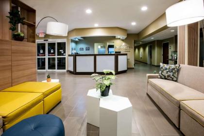 Microtel Inn and Suites Pecos - image 4