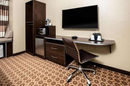 Microtel Inn and Suites Pecos - image 7