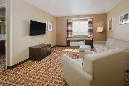 Microtel Inn and Suites Pecos - image 8