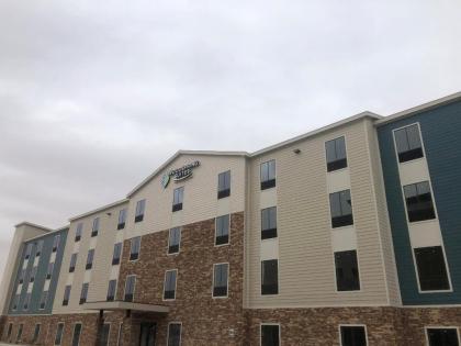 WoodSpring Suites Pecos - image 3