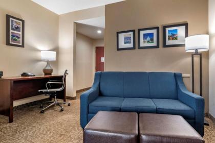 Comfort Suites Pell City I-20 exit 158 - image 12