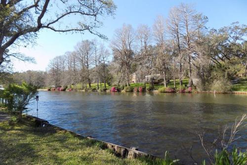 The Reel Bayou Cottage - image 2