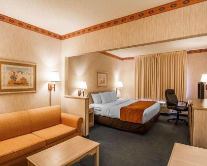 Comfort Suites Peoria Sports Complex - image 4