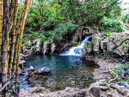 Hamakua House and Camping Cabanas Hawaii