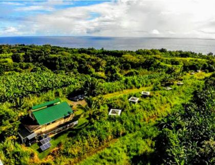 Hamakua House and Camping Cabanas - image 9