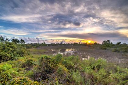 Perdido Key Home with Pool- Near Beach Great Reviews - image 15