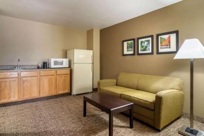 Comfort Inn & Suites Perry National Fairgrounds Area - image 10