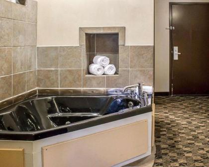 Comfort Suites Perrysburg - image 10