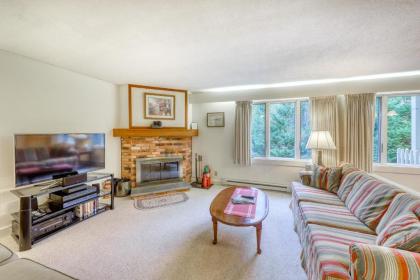 Bromley Mountain Condo - image 15