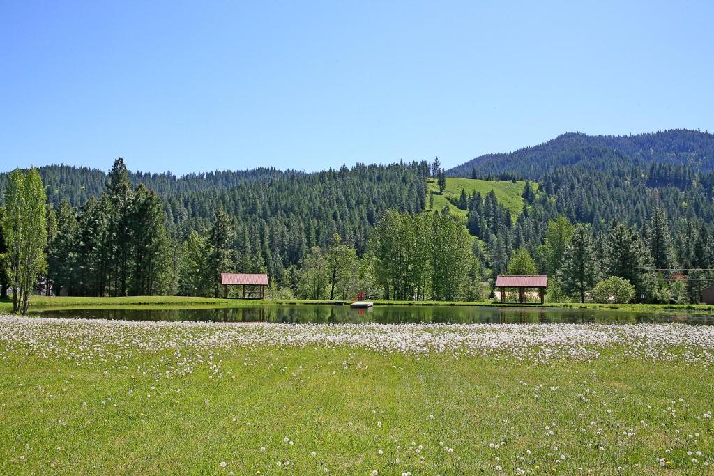 Huckleberry Cabin - image 5