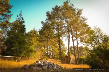 The Quails Nest Cottage - image 3