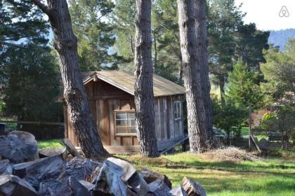 The Quails Nest Cottage - image 9