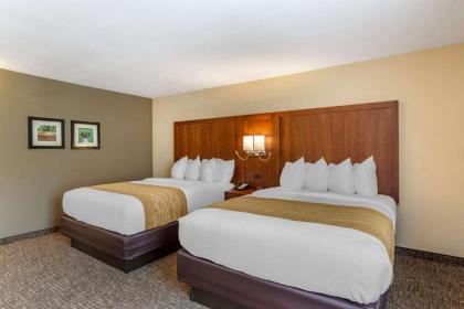 Comfort Inn Petersburg - Fort Lee - image 12