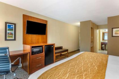 Comfort Inn Petersburg - Fort Lee - image 15