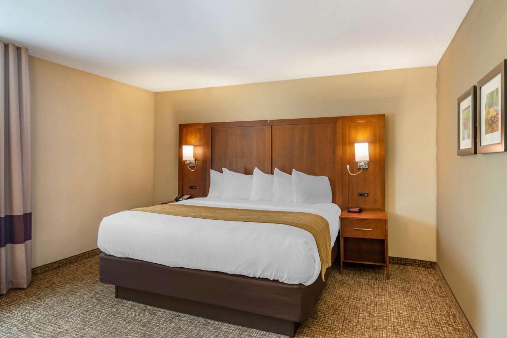 Comfort Inn Petersburg - Fort Lee - image 6