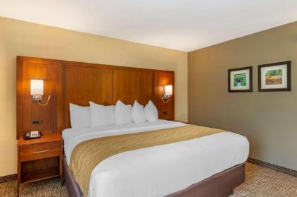 Comfort Inn Petersburg - Fort Lee - image 7