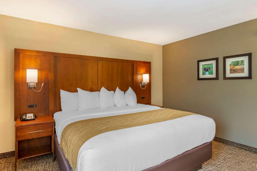 Comfort Inn Petersburg - Fort Lee - image 7