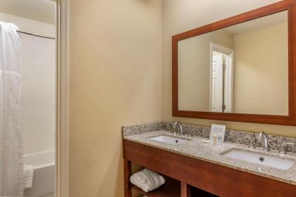 Comfort Inn Petersburg - Fort Lee - image 8