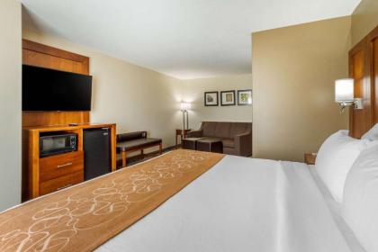 Comfort Suites North Pflugerville - Austin North - image 10