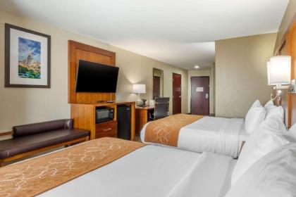 Comfort Suites North Pflugerville - Austin North - image 2