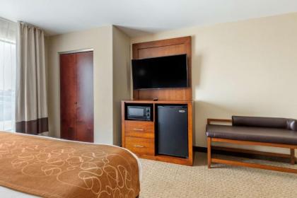 Comfort Suites North Pflugerville - Austin North - image 4