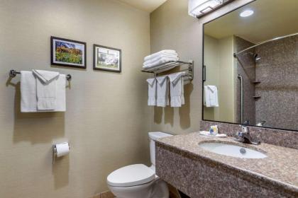 Comfort Suites North Pflugerville - Austin North - image 9