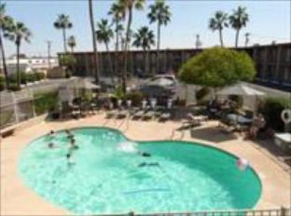 Sun City Inn and Suites