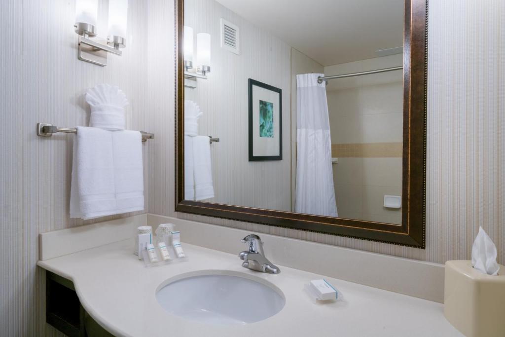 Hilton Garden Inn Valley Forge/Oaks - image 7