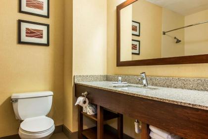 Comfort Inn East Pickerington - image 4