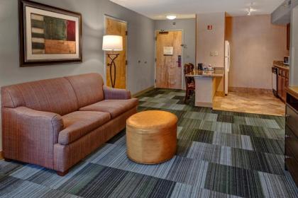 Hampton Inn & Suites Pigeon Forge On The Parkway - image 5