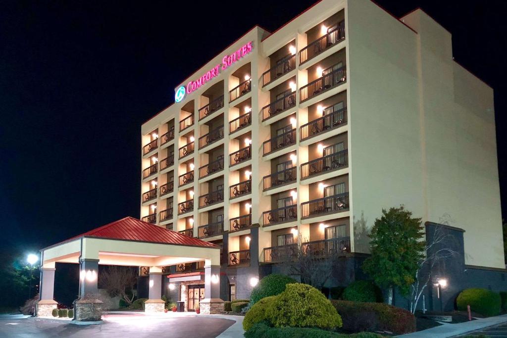 Comfort Suites Mountain Mile Area - main image