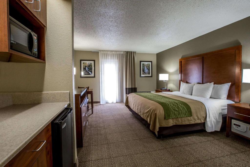 Comfort Inn & Suites at Dollywood Lane - image 2