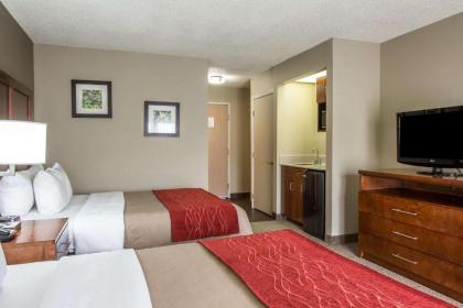 Comfort Inn & Suites at Dollywood Lane - image 3