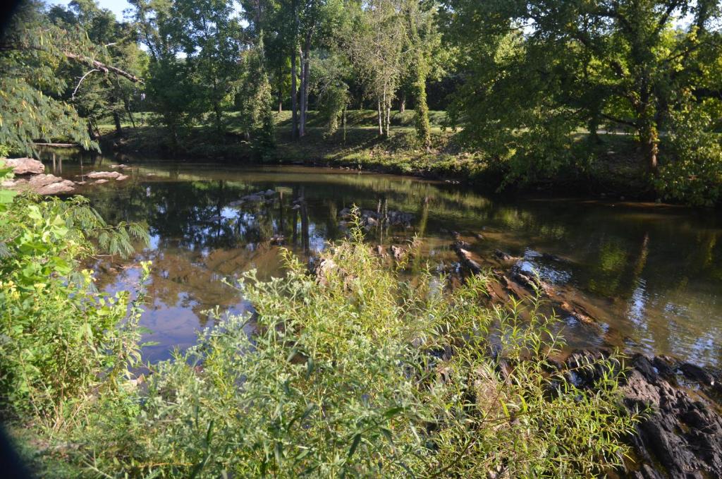 River Place Inn & Cabins - image 4