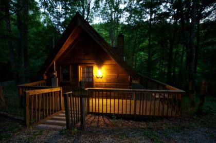 A Cabin In The Woods - image 4