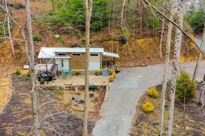 Smoky Mountain Tiny Home - image 4