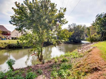 River Romance #2328 by Aunt Bug's Cabin Rentals - image 17