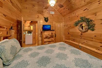 A Tranquility Den #210 by Aunt Bug's Cabin Rentals - image 13