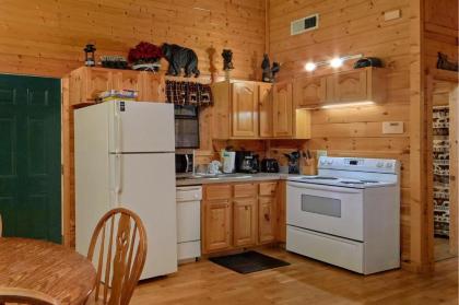 A Tranquility Den #210 by Aunt Bug's Cabin Rentals - image 5